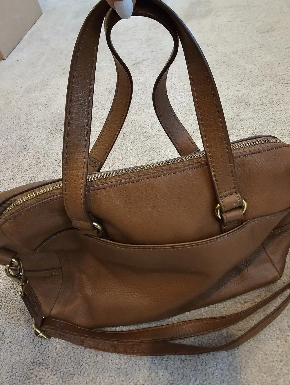 Fossil medium brown